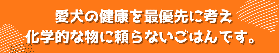 ぺろっと元気ごはん