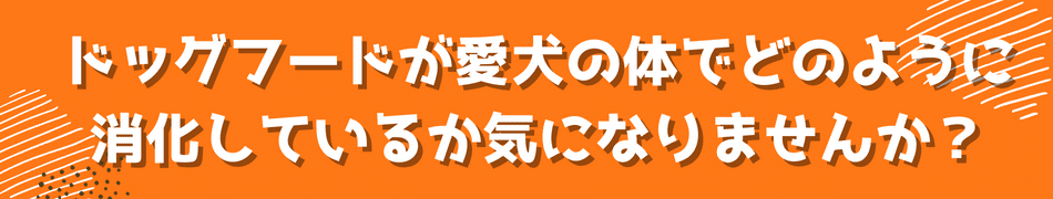 ぺろっと元気ごはん