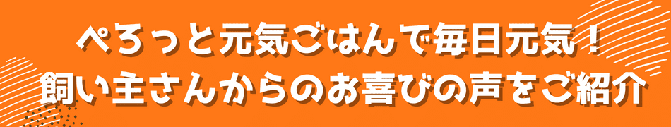 ぺろっと元気ごはん