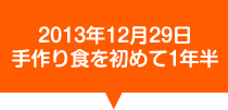 2013年12月29日 手作り食を初めて6ヶ月