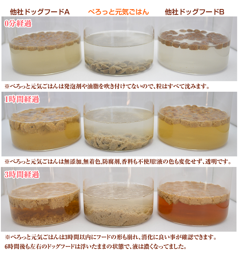 ドッグフード消化実験内容