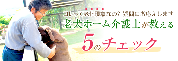 これって老化現象なの？飼い主さんの疑問にお応えします。老犬ホーム介護士が教える5のチェック