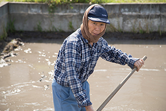 ぺろっと元気ごはん生産場所の見学