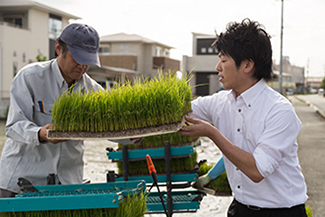 ぺろっと元気ごはん生産場所の見学