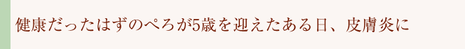 健康だったはずのぺろが5歳を迎えたある日、皮膚炎に