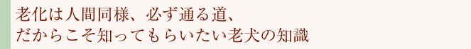 老化は人間同様、必ず通る道、だからこそ知ってもらいたい老犬の知識