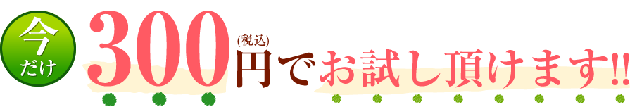 今だけ、３００円でお試しいただけます！！