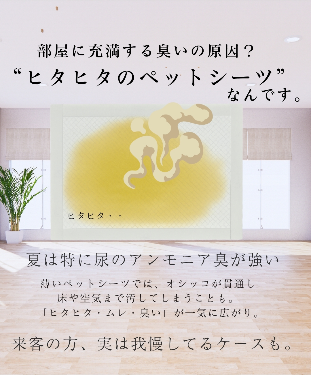 原因は薄いペットシーツにあるんです。